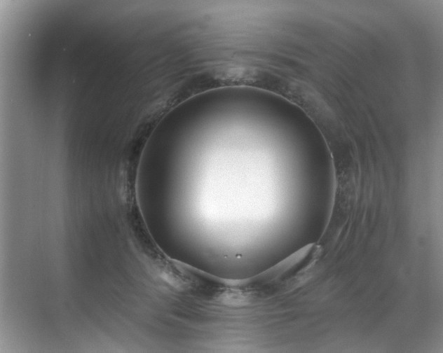 X0000071830416200606301324