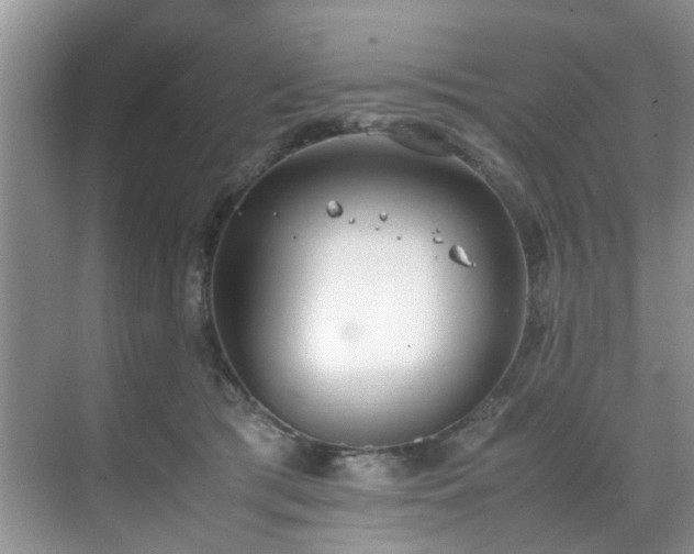 X0000071830417200606301324