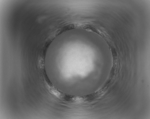 X0000071830419200606301324