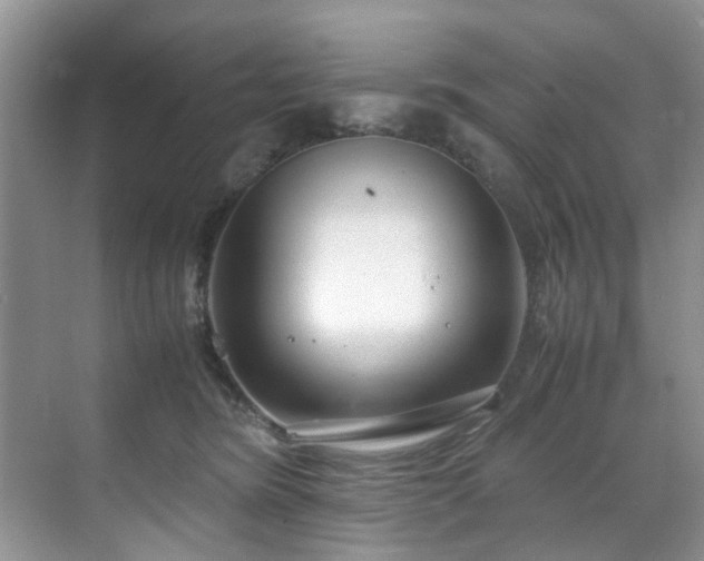 X0000071830420200606301324