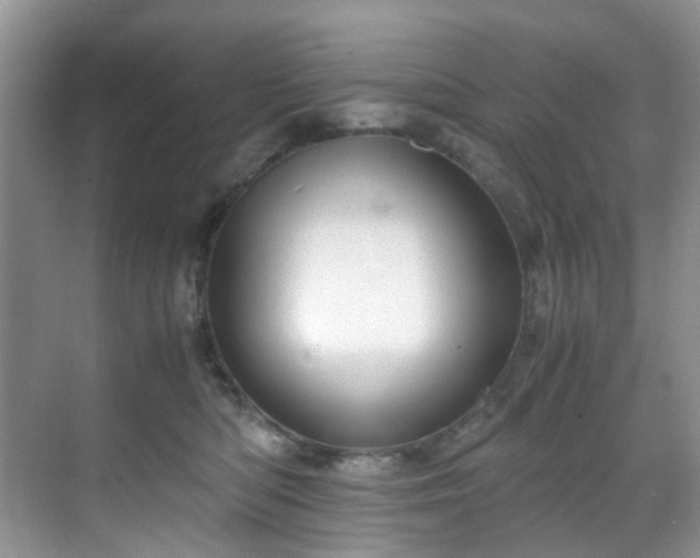 X0000071830422200606301324