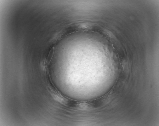 X0000071830423200606301324