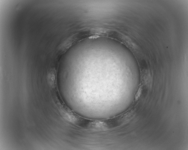 X0000071830427200606301324