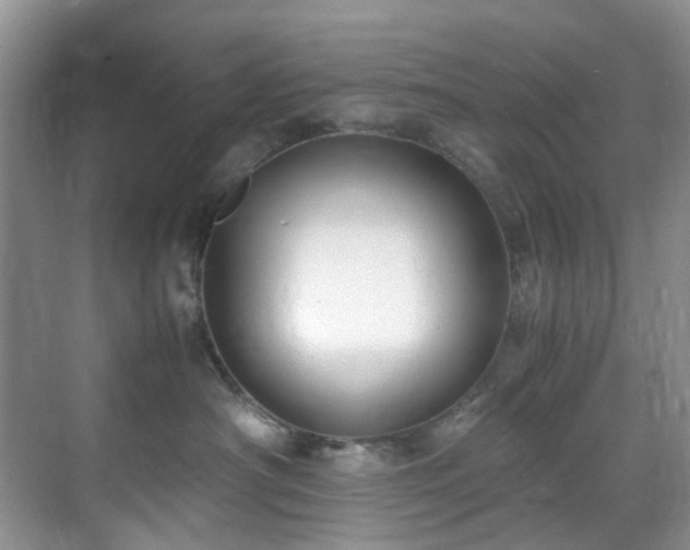 X0000071830430200606301323