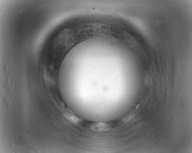 X0000071830431200606301323