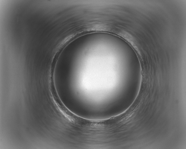 X0000071830437200606301323