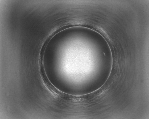 X0000071830439200606301323