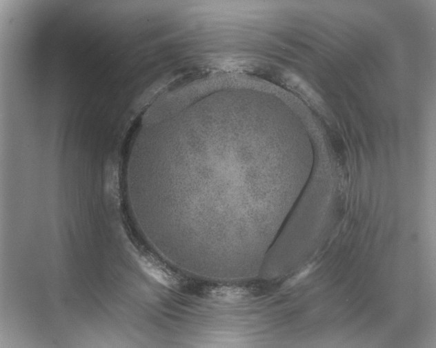 X0000071830444200606301323