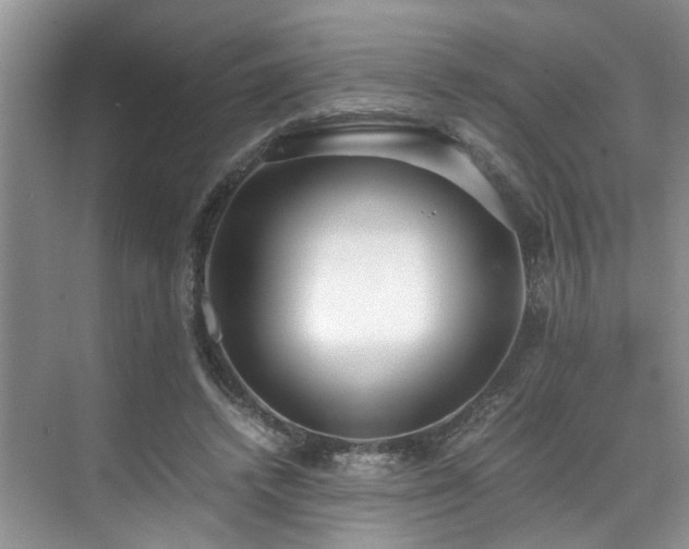 X0000071830448200606301323