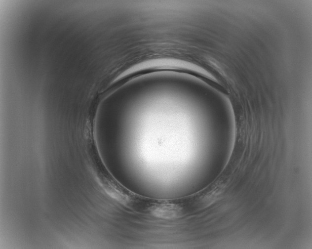 X0000071830459200606301323