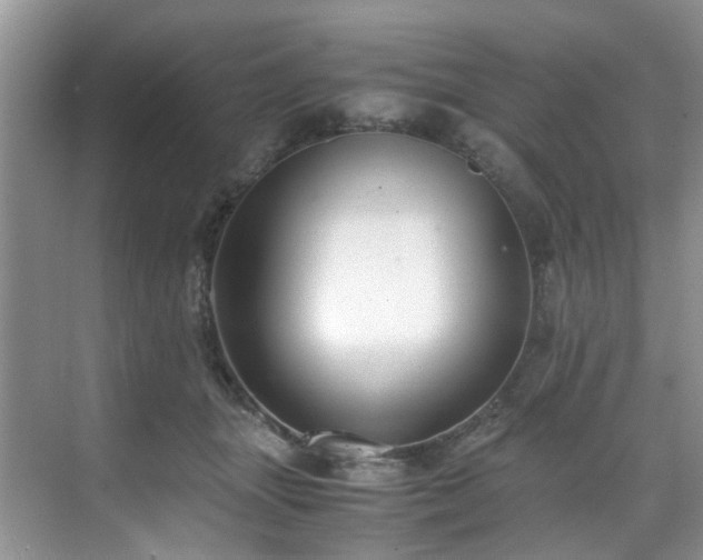 X0000071830463200606301323