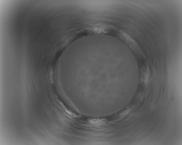 X0000071830465200606301323