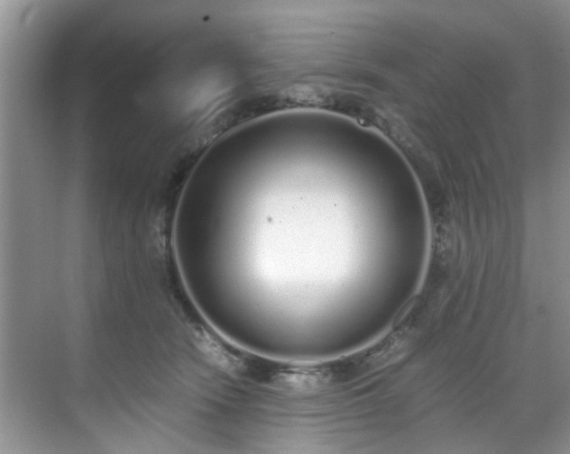 X0000071830466200606301323