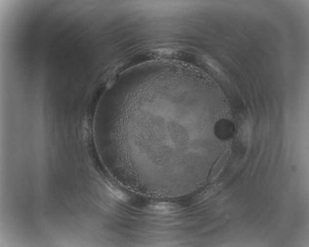 X0000071830467200606301323