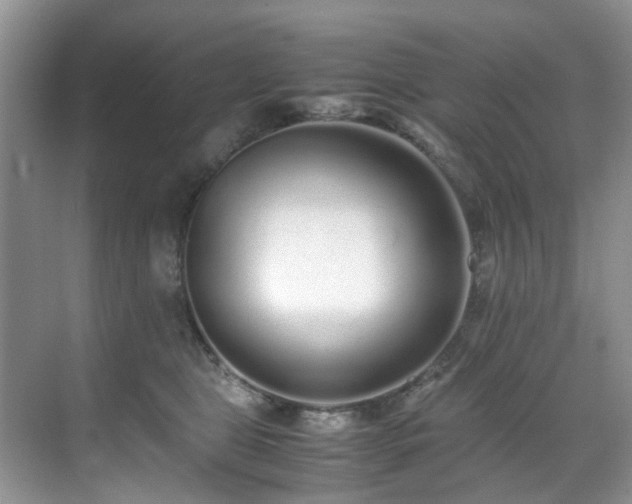 X0000071830469200606301323