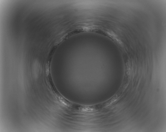 X0000071830471200606301323