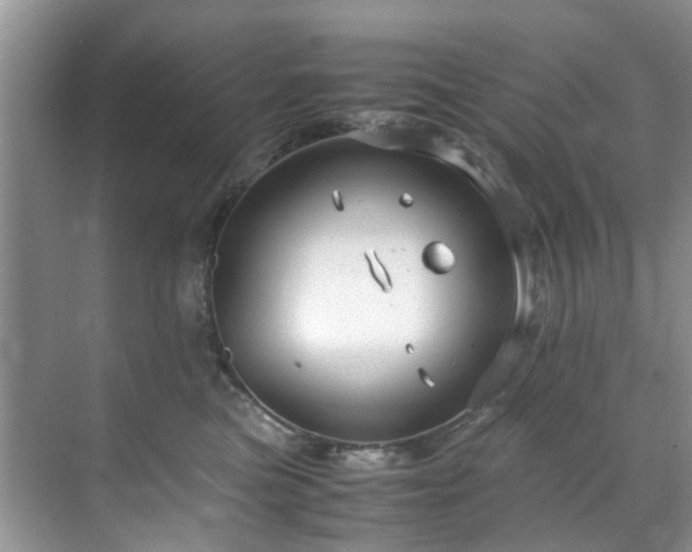 X0000071830473200606301323