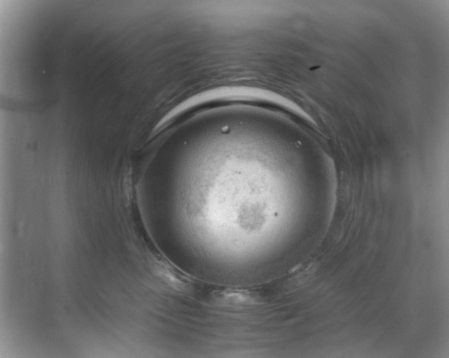 X0000071830475200606301323