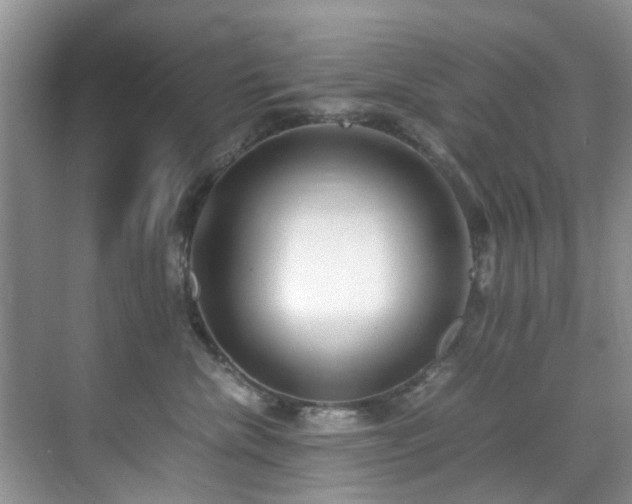 X0000071830476200606301323