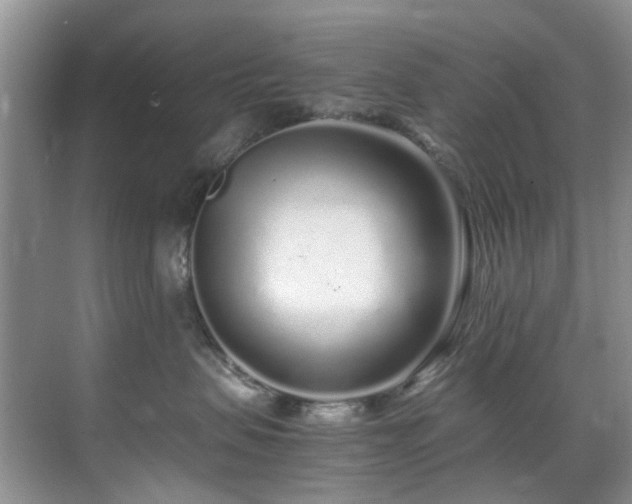 X0000071830479200606301323