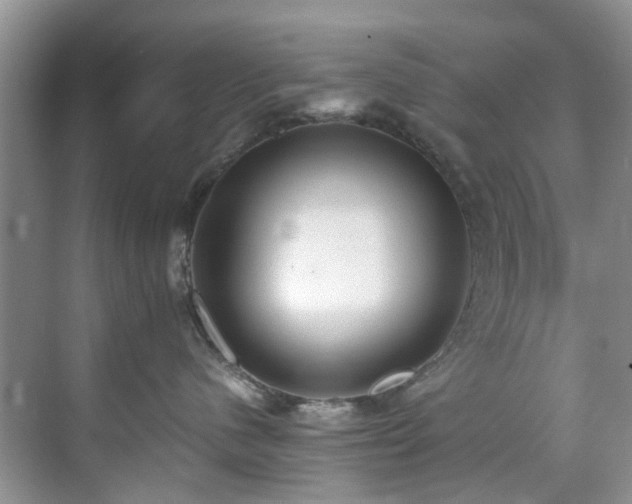 X0000071830480200606301323