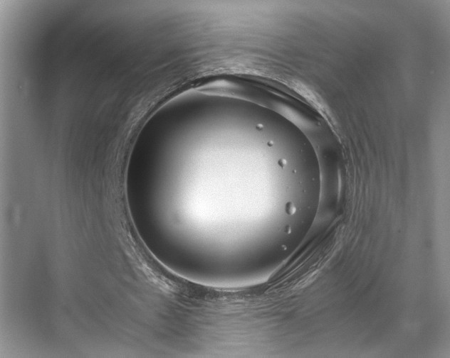 X0000071830481200606301323