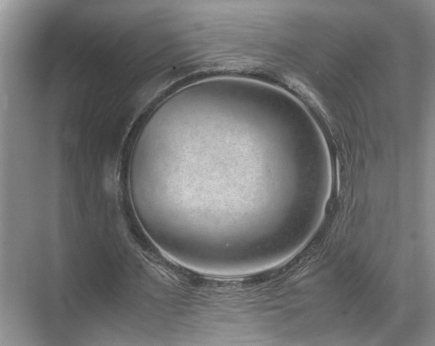 X0000071830483200606301323