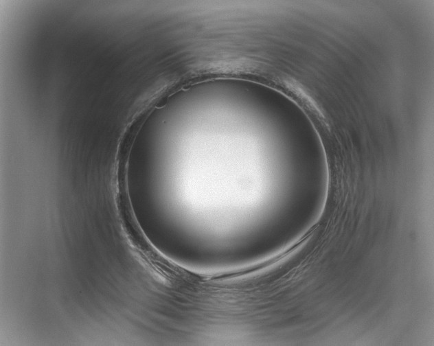 X0000071830486200606301323