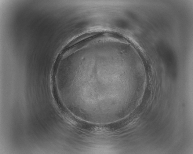 X0000071830487200606301322