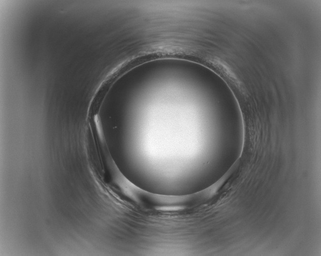 X0000071830488200606301322