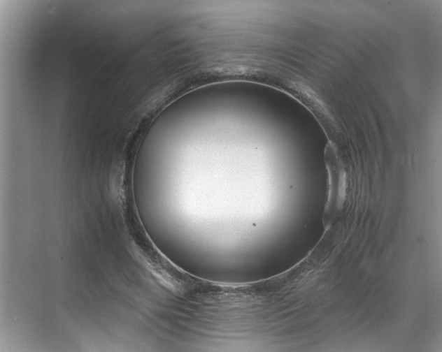 X0000071830490200606301322