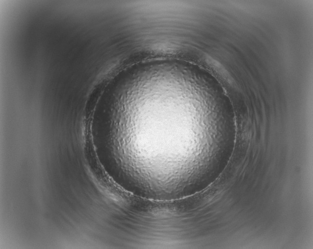 X0000071830494200606301322