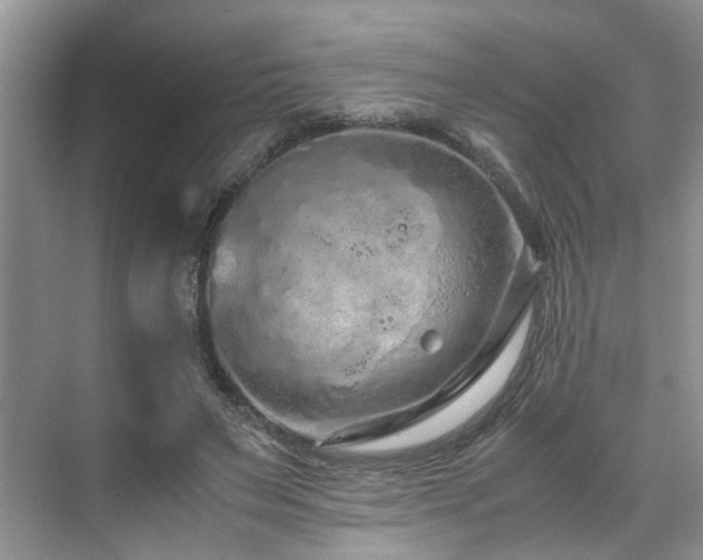 X0000071830495200606301322