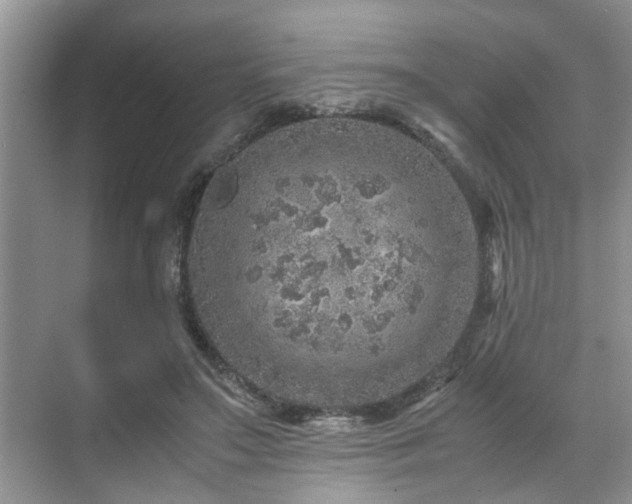 X0000071830499200606301322