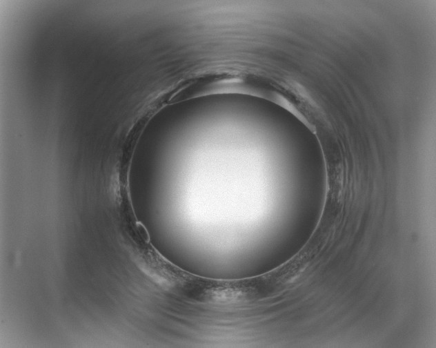 X0000071830500200606301322