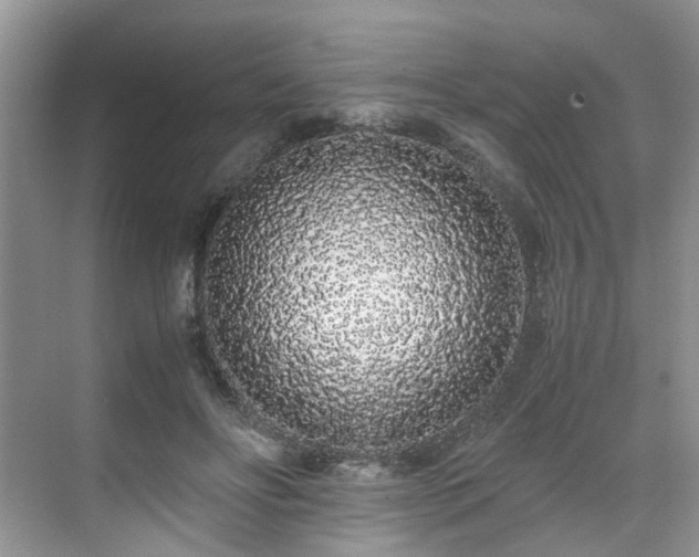 X0000071830502200606301322