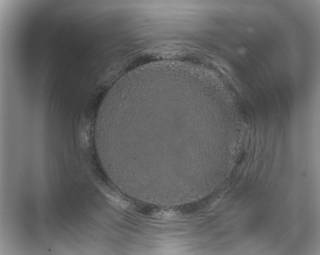 X0000071830503200606301322