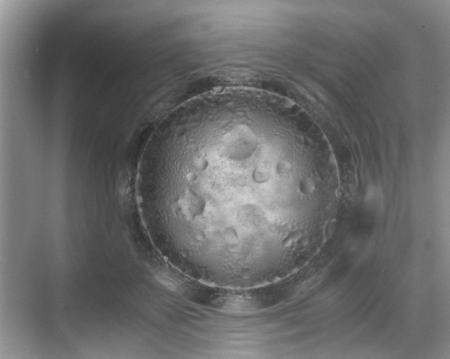 X0000071830507200606301322