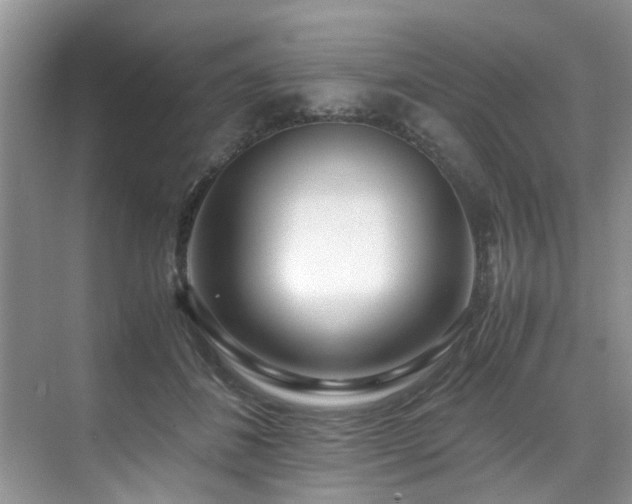 X0000071830508200606301322