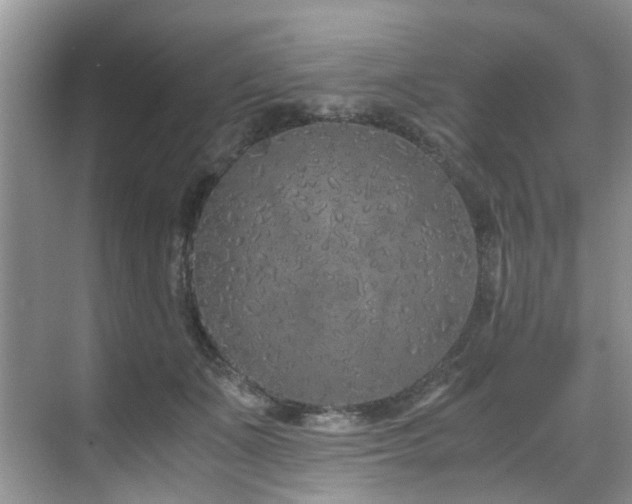 X0000071830511200606301322