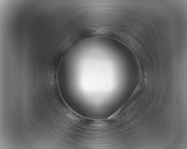 X0000071830514200606301322