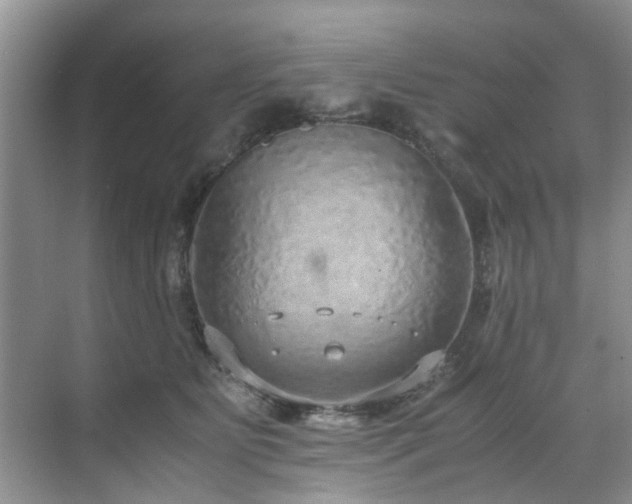 X0000071830515200606301322