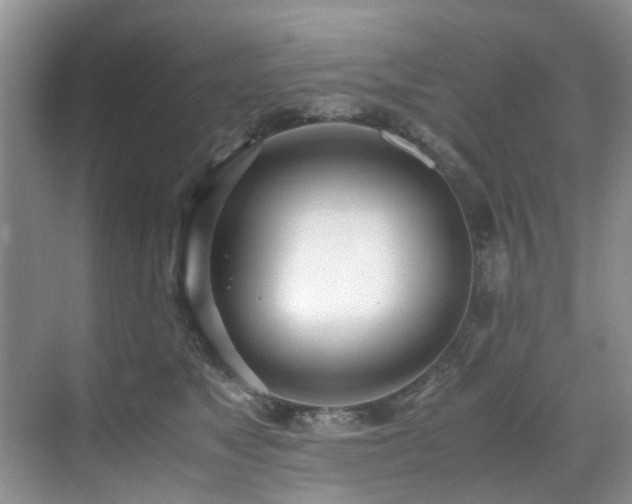 X0000071830517200606301322