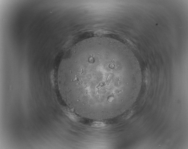 X0000071830519200606301322