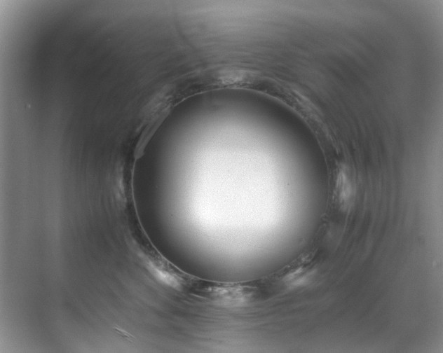 X0000071830524200606301322