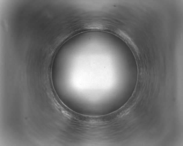 X0000071830529200606301321