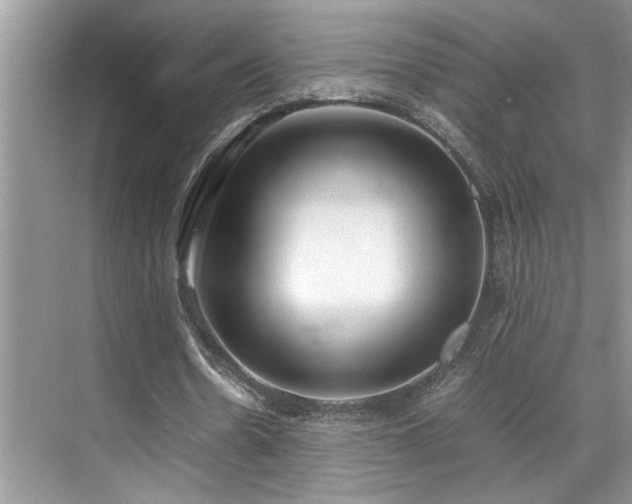 X0000071830530200606301321