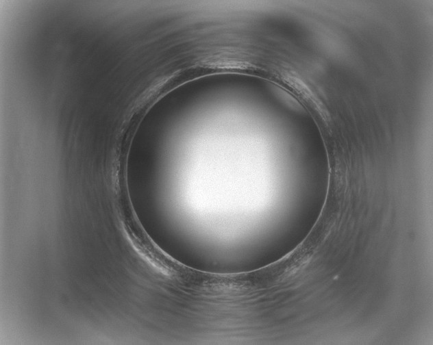 X0000071830533200606301321