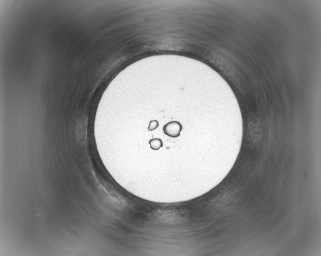 X0000071830534200606301321