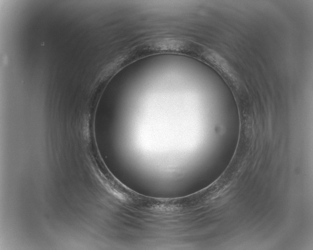 X0000071830537200606301321